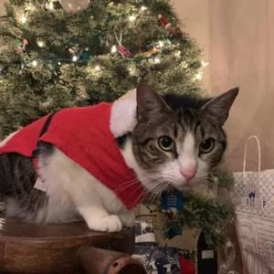 Meet your Posher, James